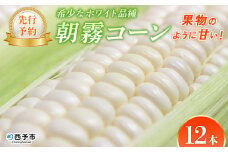 【先行予約】＜朝霧（あさぎり）コーン 12本＞ 国産 雪の妖精 ホワイトコーン 白い 白 とうもろこし 幻のとうもろこし 生で食べられる 甘い 糖度が高い 朝霧コーン 野菜 株式会社ノムランド 愛媛県 西予市【冷蔵】『2025年8月中旬～10月迄に順次出荷予定』