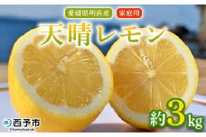 ＜天晴レモン ご家庭用 約3kg＞ フルーツ 果物 くだもの レモン れもん 檸檬 柑橘 訳あり わけあり ワケアリ 自宅用 料理 国産 国産レモン 愛媛県産 特産品 株式会社笑丸 愛媛県 西予市【常温】