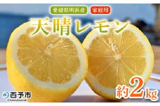 ＜天晴レモン ご家庭用 約2kg＞ フルーツ 果物 くだもの レモン れもん 檸檬 柑橘 訳あり わけあり ワケアリ 自宅用 料理 国産 国産レモン 愛媛県産 特産品 株式会社笑丸 愛媛県 西予市【常温】