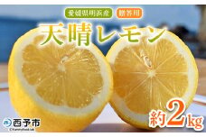 ＜天晴レモン 贈答用 約2kg＞ フルーツ 果物 くだもの レモン れもん 檸檬 柑橘 プレゼント 贈り物 お返し お礼 ギフト アレンジ 料理 国産 国産レモン 愛媛県産 特産品 株式会社笑丸 愛媛県 西予市【常温】