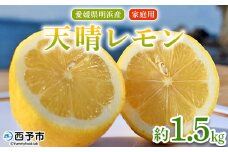 ＜天晴レモン ご家庭用 約1.5kg＞ フルーツ 果物 くだもの レモン れもん 檸檬 柑橘 訳あり わけあり ワケアリ 自宅用 料理 国産 国産レモン 愛媛県産 特産品 株式会社笑丸 愛媛県 西予市【常温】