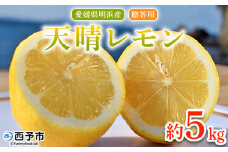 ＜天晴レモン 贈答用 約5kg＞ フルーツ 果物 くだもの レモン れもん 檸檬 柑橘 プレゼント 贈り物 お返し お礼 ギフト アレンジ 料理 国産 国産レモン 愛媛県産 特産品 株式会社笑丸 愛媛県 西予市【常温】