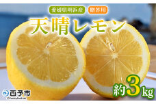 ＜天晴レモン 贈答用 約3kg＞ フルーツ 果物 くだもの レモン れもん 檸檬 柑橘 プレゼント 贈り物 お返し お礼 ギフト アレンジ 料理 国産 国産レモン 愛媛県産 特産品 株式会社笑丸 愛媛県 西予市【常温】