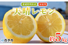 ＜天晴レモン ご家庭用 約5kg＞ フルーツ 果物 くだもの レモン れもん 檸檬 柑橘 訳あり わけあり ワケアリ 自宅用 料理 国産 国産レモン 愛媛県産 特産品 株式会社笑丸 愛媛県 西予市【常温】