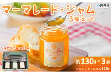 ＜マーマレード・ジャム 3種セット＞ 国産 愛媛県産 西宇和 マーマレード ジャム セット 3個 産地直送 季節のジャム みかん ミカン 果物 フルーツ 柑橘 オレンジ 蜜柑 手作り 果実 手作りジャム 小林果園 愛媛県 西予市 【常温】
