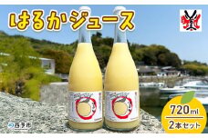 ＜はるかジュース 720ml×2本セット＞ 愛媛 果汁 100% はるか ジュース ストレート みかん じゅーす 100%ジュース セット 柑橘 果物 フルーツ 飲料 オレンジ 特産品 飲んで応援 渡江から一歩を踏み出す会 愛媛県 西予市【常温】