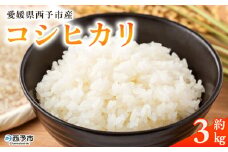 ＜愛媛県西予市産 コシヒカリ 3kg＞ 国産 愛媛県産 宇和町産 宇和米 こしひかり お米 米 コメ こめ 白米 精米 ご飯 新鮮 3kg 3キロ 選べる 特産品 大塚農園 愛媛県 西予市