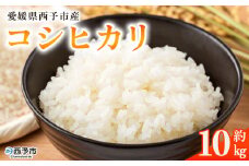 ＜愛媛県西予市産 コシヒカリ 10kg＞ 国産 愛媛県産 宇和町産 宇和米 こしひかり お米 米 コメ こめ 白米 精米 ご飯 新鮮 10kg 10キロ 選べる 特産品 大塚農園 愛媛県 西予市