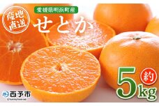先行予約受付＜産地直送 愛媛県明浜町産 せとか 約5kg＞ セトカ 果物 くだもの みかん ミカン 柑橘 フルーツ 柑橘類 果実 高級 糖度 果汁 柑橘の大トロ 甘い 国産 5キロ 特産品 宇都宮農園 愛媛県 西予市【常温】