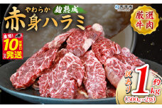 ＜麹熟成で旨み引き立つ！やわらか赤身ハラミ 約1kg（500g×2）＞ 訳あり はらみ ハラミ 赤身 大容量 牛肉 お肉 焼肉 BBQ 味付き 麹 コスパ 塩味 レシピ 丼 献立 惣菜 おかず 簡単 グルメ 株式会社丸和 愛媛県 西予市【冷凍】