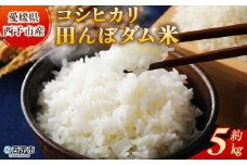 新米＜令和7年産 愛媛県西予市産 コシヒカリ 田んぼダム米 5kg＞ 5キロ こしひかり 西予応援米 宇和米 お米 コメ こめ 白米 精米 米 国産 愛媛県産 宇和町産 和みファーム 愛媛県 西予市【常温】