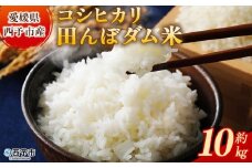 新米＜令和7年産 愛媛県西予市産 コシヒカリ 田んぼダム米 10kg＞ 10キロ こしひかり 西予応援米 宇和米 お米 コメ こめ 白米 精米 米 国産 愛媛県産 宇和町産 和みファーム 愛媛県 西予市【常温】