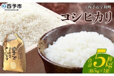 新米＜令和7年産 西予市宇和町産 コシヒカリ 約5kg＞ お米 コメ こめ 白米 精米 単一原料米 ご飯 白飯 ごはん 穀物 コシヒカリ こしひかり 朝食 特産品 愛媛県産 西予市産 宇和町産 三好フク【常温】