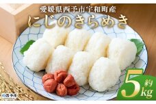 ＜にじのきらめき 約5kg＞ 5キロ ニジノキラメキ 米 お米 コメ こめ 白米 精米 ご飯 ライス 大粒 穀物 西予応援米 特産品 愛媛県産 西予市産 宇和町産 前田農園 愛媛県 西予市 【常温】