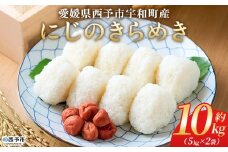 ＜にじのきらめき 約10kg＞ 10キロ ニジノキラメキ 米 お米 コメ こめ 白米 精米 ご飯 ライス 大粒 穀物 西予応援米 特産品 愛媛県産 西予市産 宇和町産 前田農園 愛媛県 西予市 【常温】