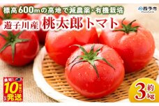 ＜標高600ｍの高地で減農薬・有機栽培の遊子川産 桃太郎トマト 約3kg＞ 国産 とまと 野菜 トマト 3キロ 西予市産 愛媛県産 産地直送 食べて応援 特産品 遊子川ザ・リコピンズ 愛媛県 西予市【常温】『令和7年8月～10月 / 最短10営業日以内に順次発送予定』