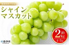 ＜シャインマスカット 約2kg＞ 果物 くだもの フルーツ ぶどう 葡萄 ブドウ シャインマスカット しゃいんますかっと 4～5房 大粒 糖度 極上 種なし 甘い 皮ごと 特産品 ファームNINOMIYA 愛媛県 西予市【冷蔵】『2025年8月下旬～9月中旬迄に順次出荷予定』