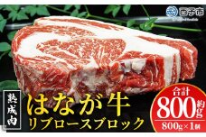 ＜熟成肉 はなが牛リブロースブロック約800g（800g×1個）＞ 牛肉 ステーキ 鉄板焼き 焼き肉 国産 塊肉 かたまり 霜降り しもふり バーベキュー BBQ キャンプ アウトドア 特産品 ゆうぼく 愛媛県 西予市【冷凍】