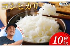 新米＜令和7年産 愛媛県西予市産 コシヒカリ 10kg＞ 10キロ こしひかり 国産 宇和米 お米 コメ ライス こめ ごはん 白米 精米 米 西予応援米 愛媛県産 宇和町産 KAZUファーム 愛媛県 西予市【常温】『2025年10月～12月に順次発送予定』