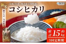 新米 ＜令和7年産 コシヒカリ 約5kg 3回定期便 西予市宇和町産＞ 白米 精米 楠さんの一等米相当 こしひかり お米 コメ こめ 米 ご飯 ごはん 定期便 穀物 ライス 愛媛県 西予市【常温】『2025年9月上旬から順次出荷予定』