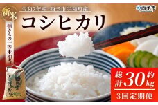 新米 ＜令和7年産 コシヒカリ 約10kg 3回定期便 西予市宇和町産＞ 白米 精米 楠さんの一等米相当 こしひかり お米 コメ こめ 米 ご飯 ごはん 定期便 穀物 ライス 愛媛県 西予市【常温】『2025年9月上旬から順次出荷予定』