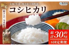 新米 ＜令和7年産 コシヒカリ 約5kg 6回定期便 西予市宇和町産＞ 白米 精米 楠さんの一等米相当 こしひかり お米 コメ こめ 米 ご飯 ごはん 定期便 穀物 ライス 愛媛県 西予市【常温】『2025年9月上旬から順次出荷予定』