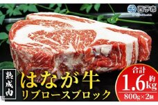 ＜熟成肉 はなが牛リブロースブロック約1.6kg（800g×2個）＞ 牛肉 ステーキ 鉄板焼き 焼き肉 国産 塊肉 かたまり 霜降り しもふり バーベキュー BBQ キャンプ アウトドア 特産品 ゆうぼく 愛媛県 西予市【冷凍】