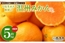 ＜西予の美味しい柑橘セレクト（ご家庭用）／つるちゃん農園のみかん（約5kg）＞ 果物 くだもの フルーツ 蜜柑 みかん ミカン 柑橘 ご家庭用 温州みかん 食べて応援 国産 愛媛県産 特産品 西予みかん倶楽部 愛媛県 西予市『11月頃から1月頃までに順次出荷予定』【常温】