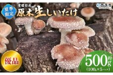 ＜夏季限定 原木生しいたけ（優品） 100g×5パック＞ 合計500g 数量限定 期間限定 夏採れ 原木生椎茸 しいたけ シイタケ きのこ 優品 バーベキュー BBQ 料理 国産 愛媛県産 横林自治振興協議会 愛媛県 西予市【冷蔵】『2025年5月～10月に順次出荷予定』