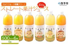 ＜マルワフルーツ柑橘アソート 100％ストレート果汁ジュース 500ml×6本＞ 詰め合わせ セット スイーツ 果物 フルーツ みかん オレンジ 柑橘 清見 でこひめ 河内晩柑 伊予柑 せとか 特産品 愛媛県 西予市【常温】『1か月以内に順次出荷予定』