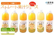 ＜マルワフルーツ柑橘アソート 100％ストレート果汁ジュース 500ml×12本＞ 詰め合わせ セット スイーツ 果物 フルーツ みかん オレンジ 柑橘 清見 でこひめ 河内晩柑 伊予柑 せとか 特産品 愛媛県 西予市【常温】『1か月以内に順次出荷予定』