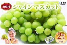 ＜シャインマスカット 家庭用 約2kg＞ 果物 くだもの フルーツ ぶどう 葡萄 ブドウ シャインマスカット しゃいんますかっと 3～5房 2キロ ご家庭用 種なし 甘い 皮ごと 特産品 宇都宮物産 愛媛県 西予市【冷蔵】『2025年9月中旬～10月上旬迄に順次出荷予定』