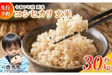 新米＜令和7年産 コシヒカリ 玄米 30kg＞ 国産 R7 米 宇和米 げんまい お米 銘柄米 30キロ こしひかり 西予市産 宇和町産 産地直送 愛媛県産 ご飯 JAひがしうわ 東宇和農業協同組合 愛媛県 西予市【常温】『2025年11月より順次出荷予定』