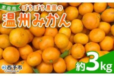 ＜ぼちぼち農園の温州みかん 家庭用 3kg＞ 3キロ うんしゅうみかん 温州ミカン 訳あり わけあり ワケアリ 果物 みかん ミカン 柑橘 フルーツ 国産 特産品 ぼちぼち農園 愛媛県 西予市【常温】『2025年11月～12月迄に順次出荷予定』