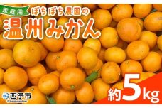 ＜ぼちぼち農園の温州みかん 家庭用 5kg＞ 5キロ うんしゅうみかん 温州ミカン 訳あり わけあり ワケアリ 果物 みかん ミカン 柑橘 フルーツ 国産 特産品 ぼちぼち農園 愛媛県 西予市【常温】『2025年11月～12月迄に順次出荷予定』