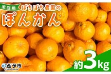 ＜ぼちぼち農園のぽんかん 家庭用 約3kg＞ 3キロ ぽんかん ポンカン 訳あり わけあり ワケアリ 果物 みかん ミカン 柑橘 フルーツ 生産量日本一 国産 特産品 ぼちぼち農園 愛媛県 西予市【常温】『2026年1月～2月迄に順次出荷予定』