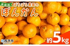 ＜ぼちぼち農園のぽんかん 家庭用 約5kg＞ 5キロ ぽんかん ポンカン 訳あり わけあり ワケアリ 果物 みかん ミカン 柑橘 フルーツ 生産量日本一 国産 特産品 ぼちぼち農園 愛媛県 西予市【常温】『2026年1月～2月迄に順次出荷予定』