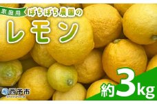 ＜ぼちぼち農園のレモン 家庭用 約3kg＞ 3キロ レモン れもん 檸檬 訳あり わけあり ワケアリ ご自宅用 ご家庭用 果物 柑橘 フルーツ アレンジ 料理 国産 国産レモン 愛媛県産 特産品 ぼちぼち農園 愛媛県 西予市【常温】『2026年1月～2月迄に順次出荷予定』