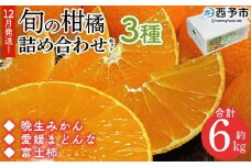 ＜12月発送！旬の柑橘 詰め合わせセット 3種×各2kg＞ 果物 フルーツ みかん ミカン 蜜柑 柑橘 オレンジ マドンナ 晩生みかん 愛媛まどんな 富士柿 かき 特産品 宇都宮物産 愛媛県 西予市【常温】『12月に順次出荷予定』