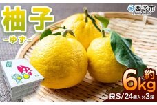 ＜柚子 良 Sサイズ (24個入り) × 3箱＞ 約6kg ゆず ユズ 国産 柑橘 かんきつ 低樹高栽培 おいしい 産地直送 黄柚子 薬味 柚子胡椒 国産柚子 フルーツ JAひがしうわ 東宇和農業協同組合 愛媛県 西予市【常温】『2025年10月下旬～12月上旬迄に順次出荷予定』