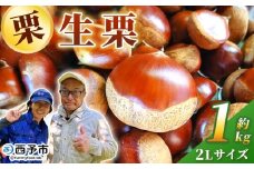 ＜生栗 2Lサイズ（約1kg）＞甘い 栗 マロン くり 和栗 栗ごはん モンブラン 栗きんとん 栗まんじゅう 甘露煮 スイーツ ケーキ 洋菓子 和菓子 お菓子 秋 味覚 産地直送 城川ファクトリー 愛媛県 西予市【冷蔵】『9月中旬〜10月上旬に順次発送予定』