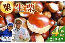 ＜生栗 2Lサイズ（約4kg）＞甘い 栗 マロン くり 和栗 栗ごはん モンブラン 栗きんとん 栗まんじゅう 甘露煮 スイーツ ケーキ 洋菓子 和菓子 お菓子 秋 味覚 産地直送 城川ファクトリー 愛媛県 西予市【冷蔵】『9月中旬〜10月上旬に順次発送予定』