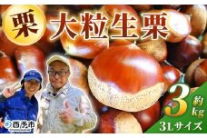 ＜大粒生栗 3Lサイズ（約3kg）＞大玉 甘い 栗 マロン くり 和栗 栗ごはん モンブラン 栗きんとん 栗まんじゅう 甘露煮 スイーツ ケーキ 洋菓子 和菓子 お菓子 秋 味覚 産地直送 城川ファクトリー 愛媛県 西予市【冷蔵】『9月中旬〜10月上旬に順次発送予定』