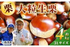 ＜大粒生栗 3Lサイズ（約4kg）＞大玉 甘い 栗 マロン くり 和栗 栗ごはん モンブラン 栗きんとん 栗まんじゅう 甘露煮 スイーツ ケーキ 洋菓子 和菓子 お菓子 秋 味覚 産地直送 城川ファクトリー 愛媛県 西予市【冷蔵】『9月中旬〜10月上旬に順次発送予定』