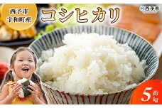 新米＜令和7年産 コシヒカリ 約5kg 西予市宇和町産＞ 5キロ 白米 精米 こしひかり 米 お米 コメ こめ 宇和米 新米 うわまい ご飯 ごはん ライス 送料無料 産地直送 天川農園 愛媛県 西予市【常温】『2025年9月中旬～12月迄に順次発送』