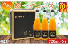 ＜媛一ジュース みかん 720ml×6本＞ 国産 オレンジジュース みかんジュース 果汁100% ストレートジュース 愛媛県産 西宇和 果汁 ジュース 愛媛 みかん オレンジ 飲料 蜜柑ジュース セット 小林果園 愛媛県 西予市 【常温】『最短10営業日以内に発送予定』