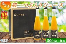 ＜媛一つぶ入りジュース みかん 500ml×6本＞ 国産 つぶ入り オレンジジュース みかんジュース 果汁 粒入り ストレートジュース 愛媛県産 西宇和 果汁 ジュース みかん オレンジ 飲料 セット 小林果園 愛媛県 西予市 【常温】『最短10営業日以内に発送予定』