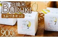 ＜分搗米「BUDUKI」ひめの凜 「3ぶづき」2合入り×3個（900g）＞ ひめのりん 分づき米 ぶづき米 ぶずき米 お米 コメ こめ 選べる 3分づき 玄米 精米 ご飯 もとき農園 愛媛県 西予市【常温】『令和7年11月中旬より順次発送予定』