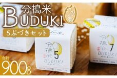 ＜分搗米「BUDUKI」ひめの凜 「5ぶづき」2合入り×3個（900g）＞ ひめのりん 分づき米 ぶづき米 ぶずき米 お米 コメ こめ 選べる 5分づき 玄米 精米 ご飯 もとき農園 愛媛県 西予市【常温】『令和7年11月中旬より順次発送予定』