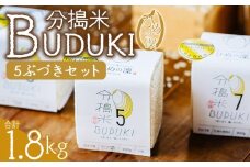 ＜分搗米「BUDUKI」ひめの凜 「5ぶづき」2合入り×6個（1.8kg）＞ ひめのりん 分づき米 ぶづき米 ぶずき米 お米 コメ こめ 選べる 5分づき 玄米 精米 ご飯 もとき農園 愛媛県 西予市【常温】『令和7年11月中旬より順次発送予定』